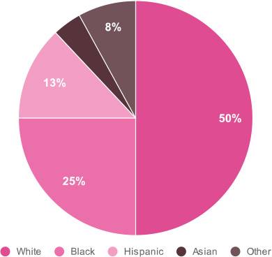 adoption statistics