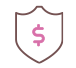 money shield icon