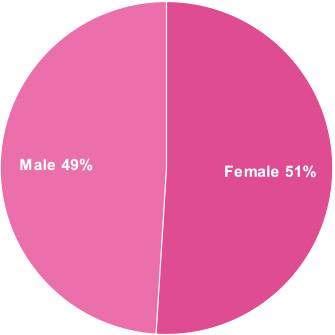 US Adoption Statistics