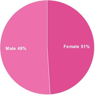 adoption statistics