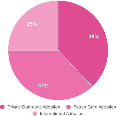 Adoption Statistics