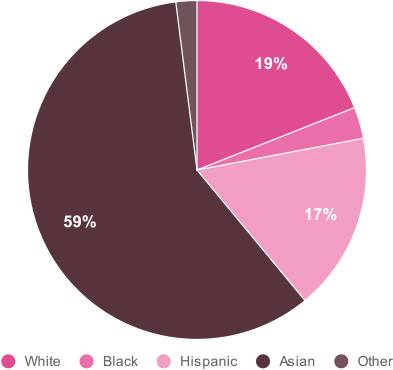 adoption statistics