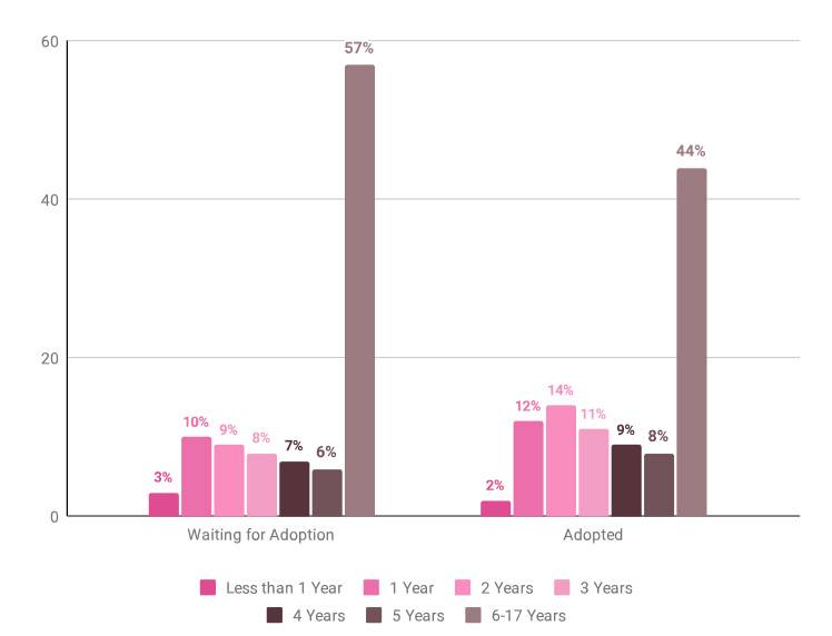 adoption statistics