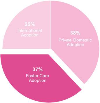 adoption statistics