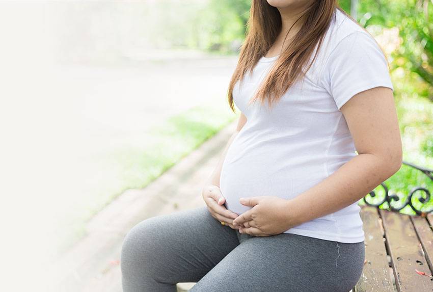 Getting Started with Adoption in South Carolina