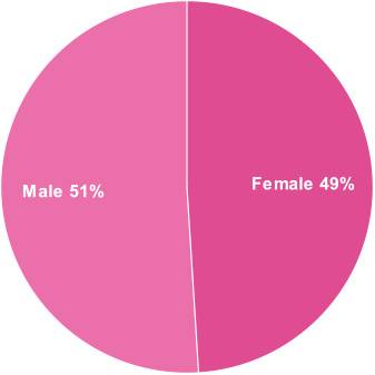 adoption statistics