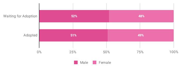 adoption statistics